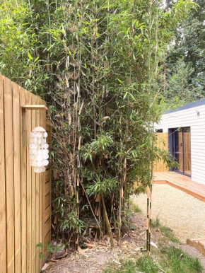Bamboo & Spa